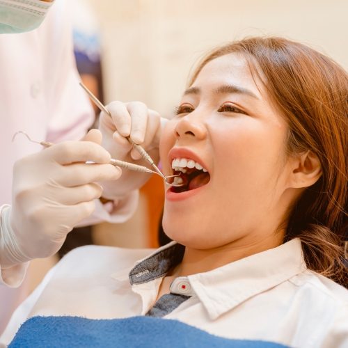 New Website 1024 x 1024