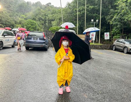 image00092 (C) (77).jpeg